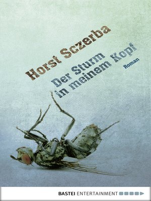 cover image of Der Sturm in meinem Kopf